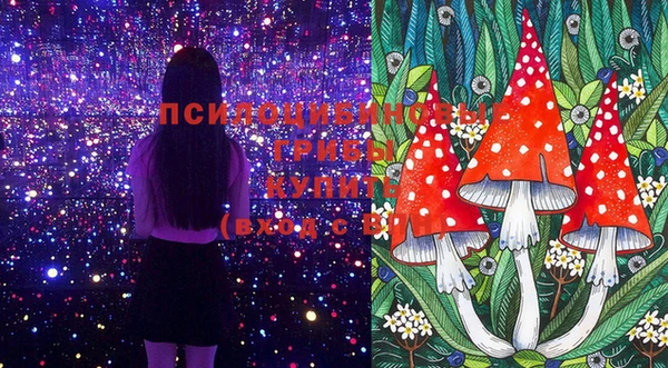 эйфоретик Белокуриха