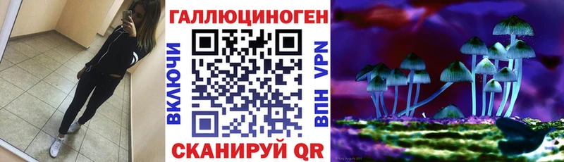 Псилоцибиновые грибы Psilocybine cubensis  где купить наркотик  Карасук 